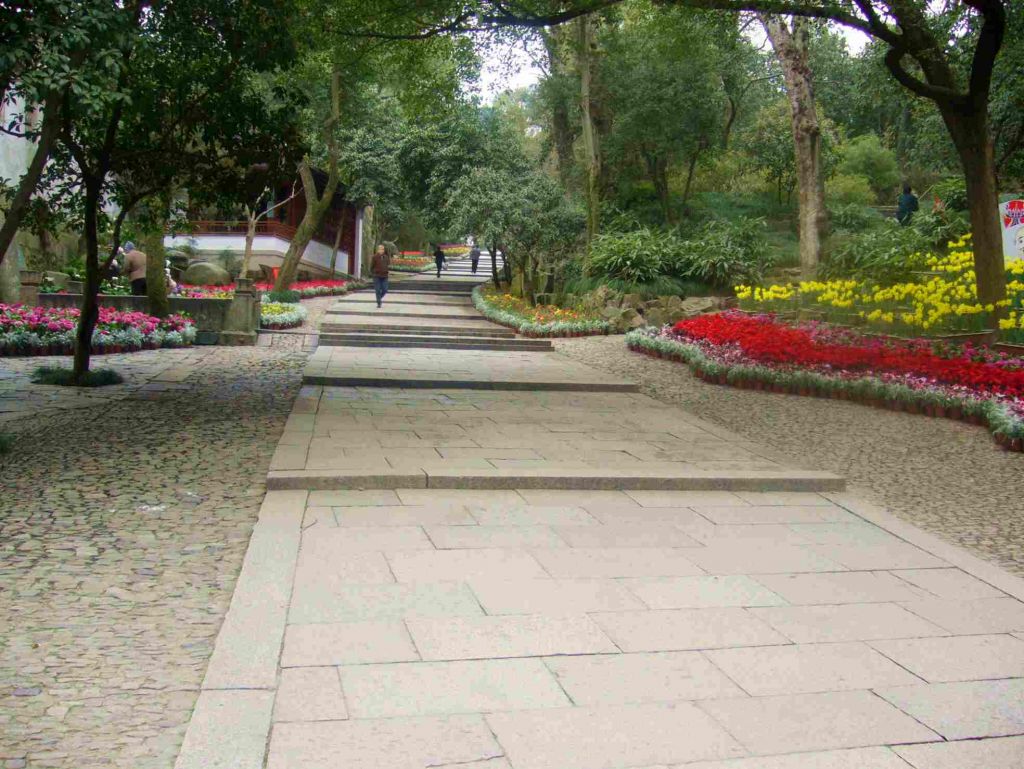 P1000814.JPG