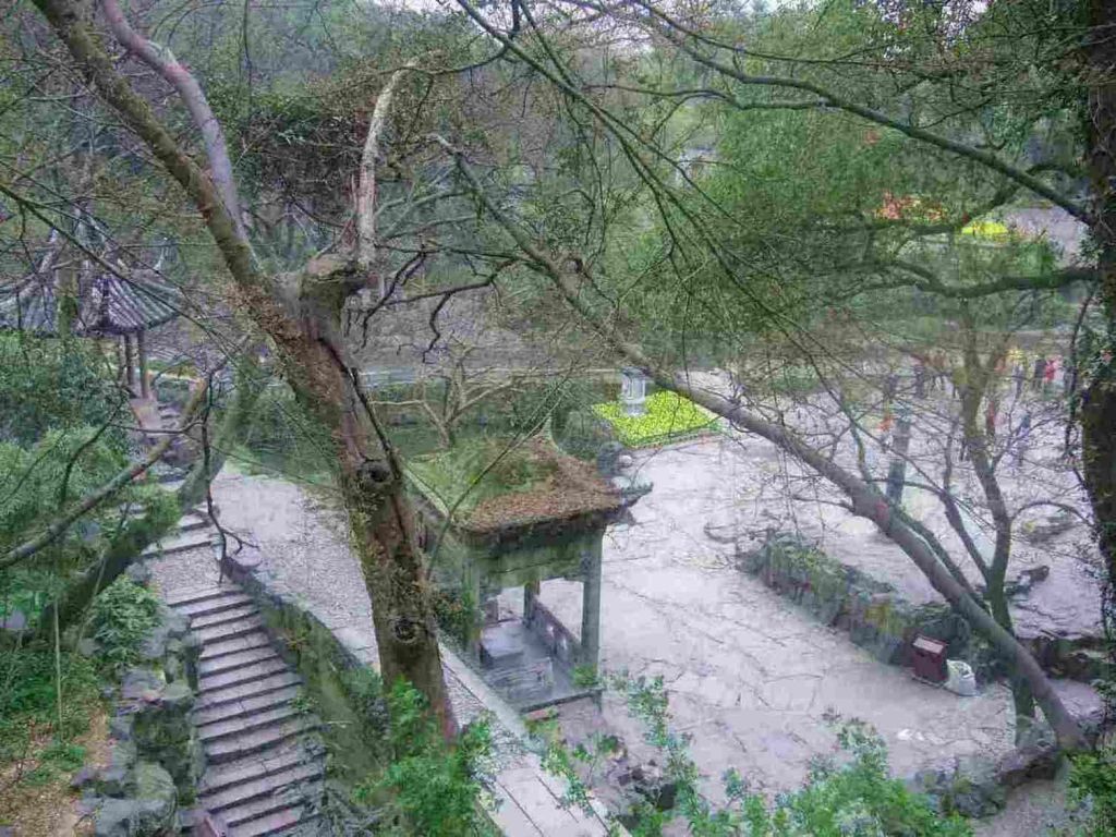 P1000831.JPG