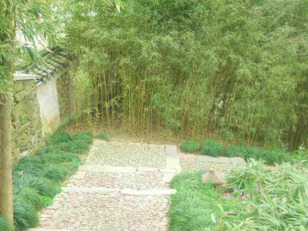 P1000842.JPG