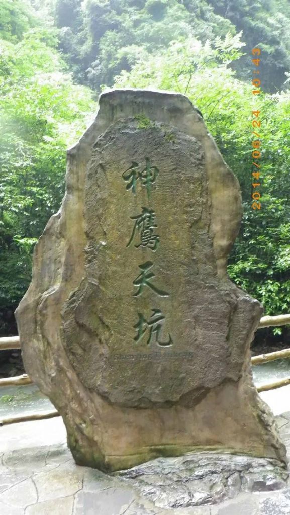 102.jpg