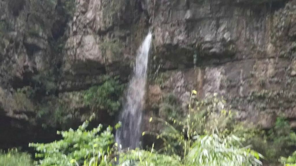 173.jpg