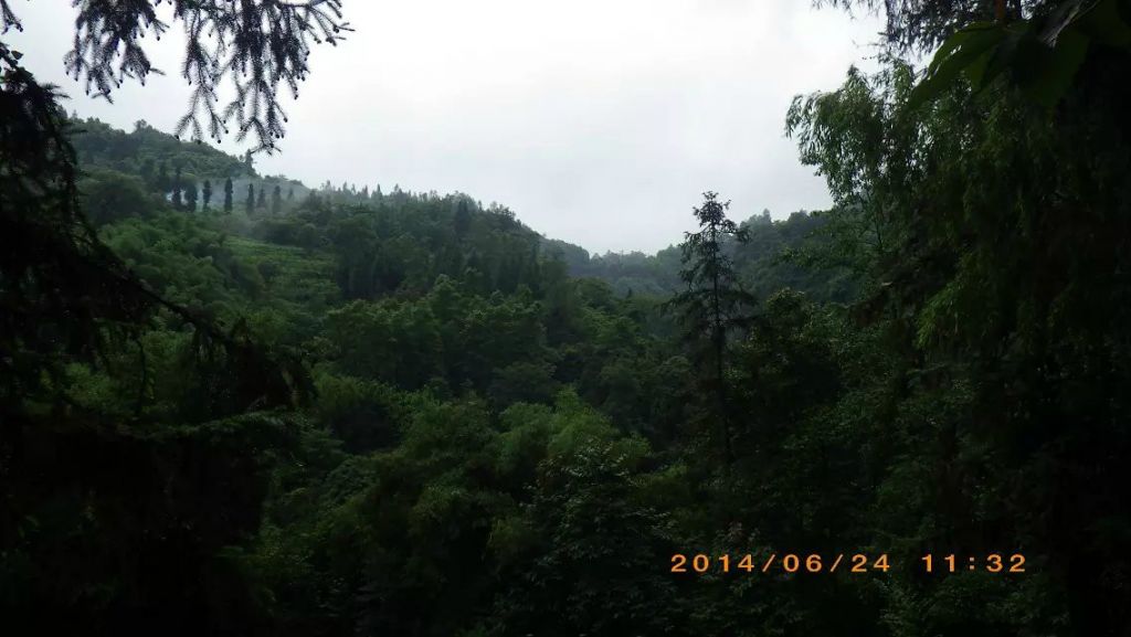 167.jpg