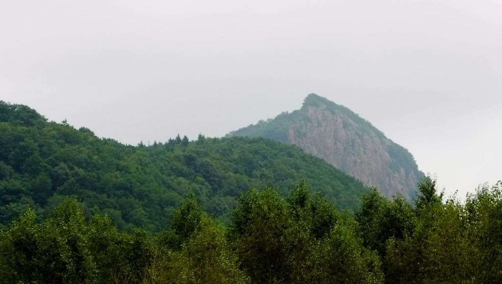 P1010157.JPG