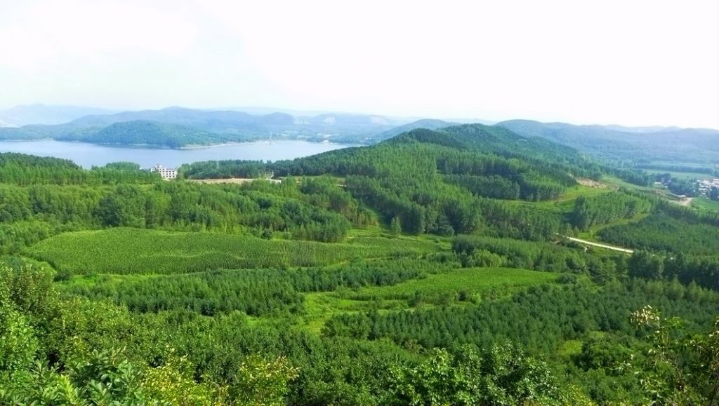 P1010245.JPG