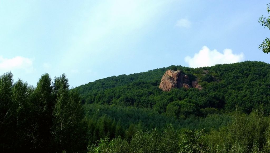 P1010266.JPG