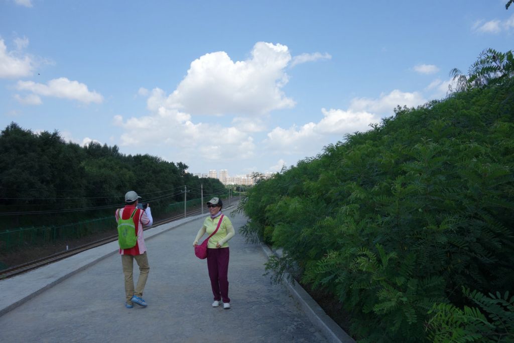 DSC01442.JPG