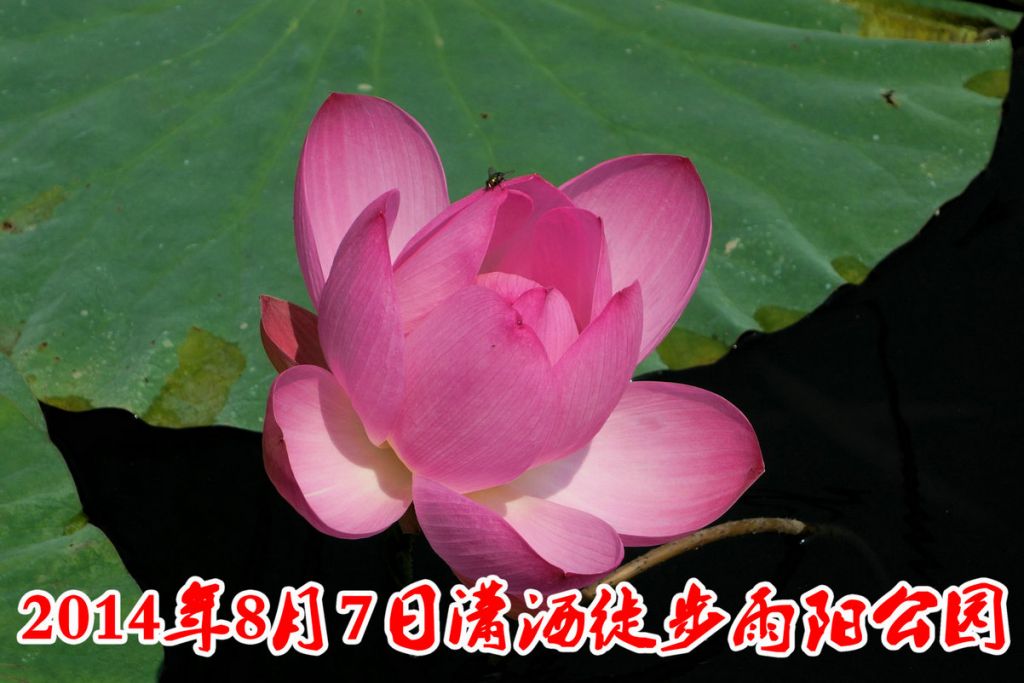 DSC01549_����.JPG