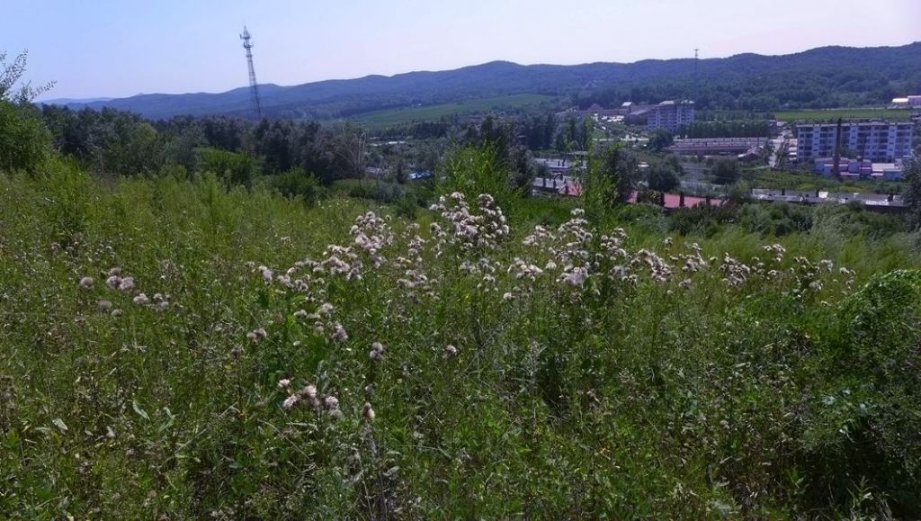 P1010340.JPG