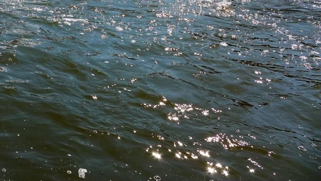 P1010440.JPG