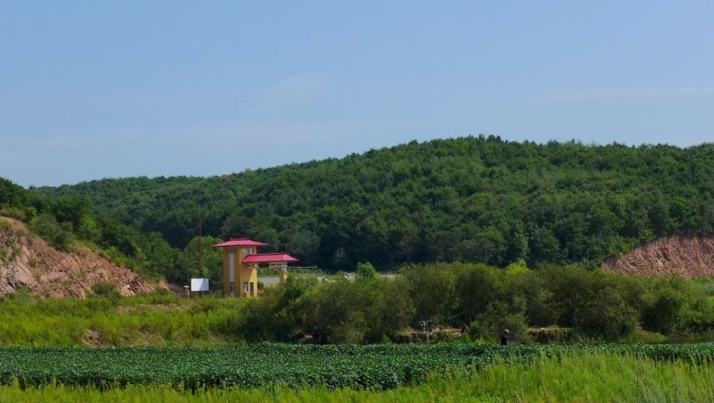 P1010428.JPG