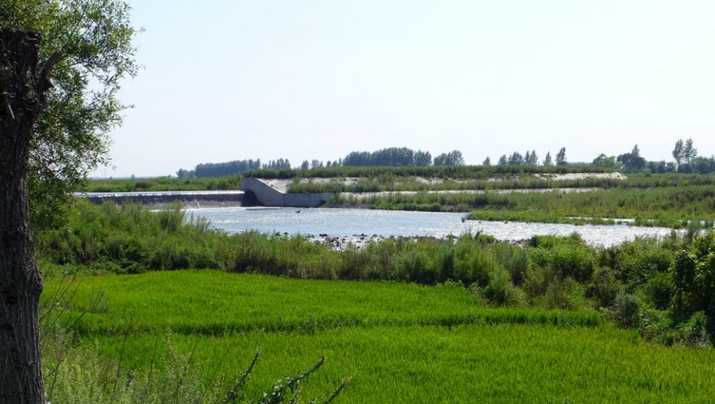 P1010457.JPG