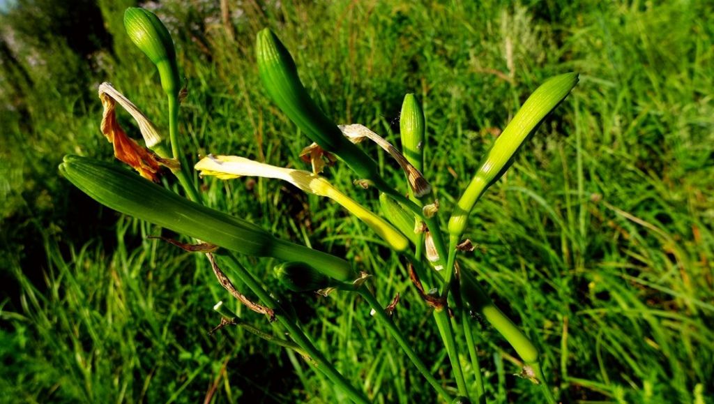 P1010468.JPG