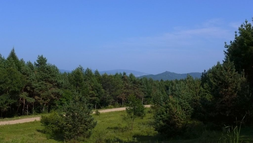 P1010473.JPG