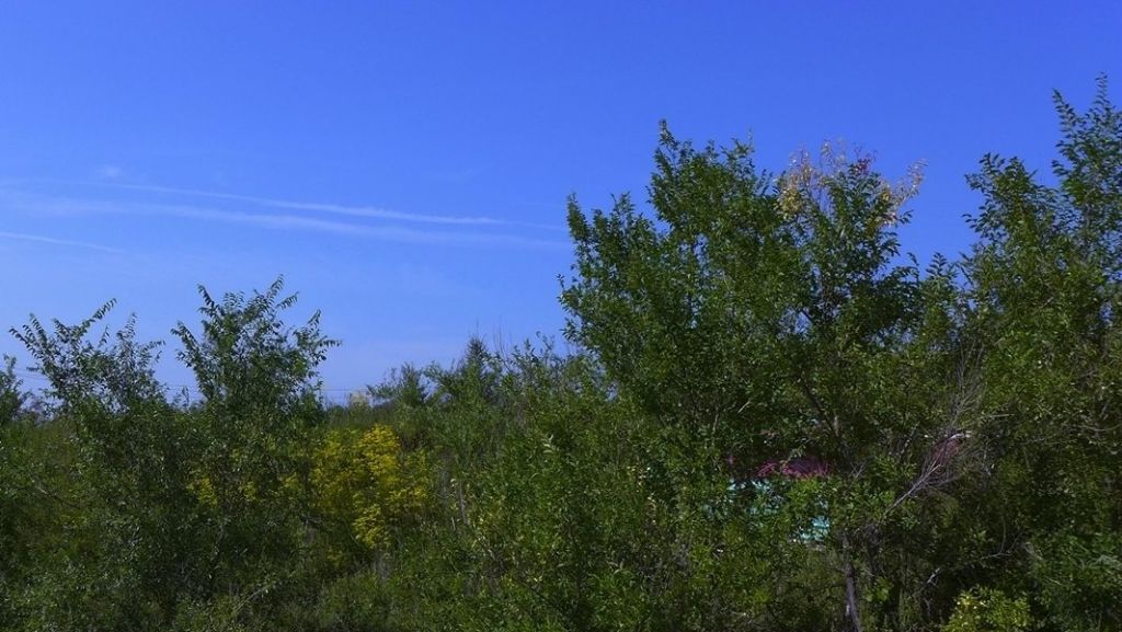 P1010463.JPG