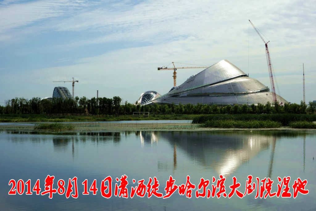 DSC01283.jpg