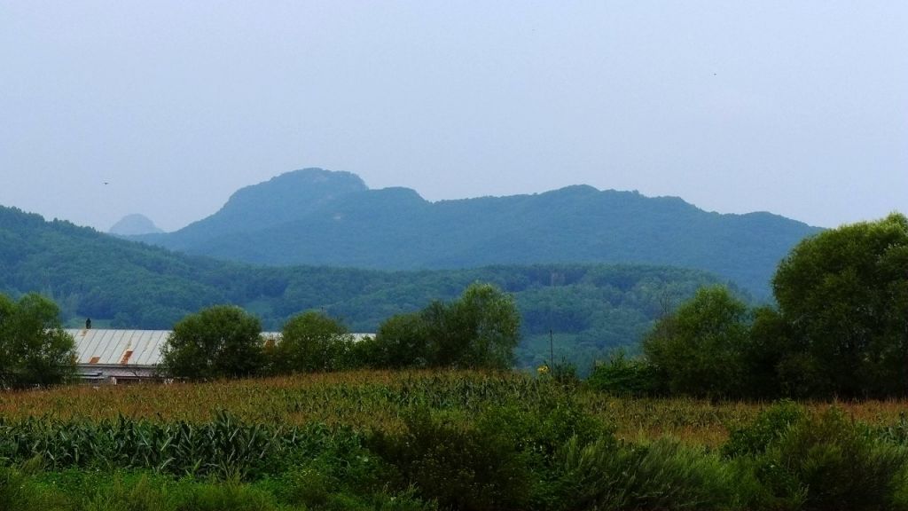 P1010482.JPG