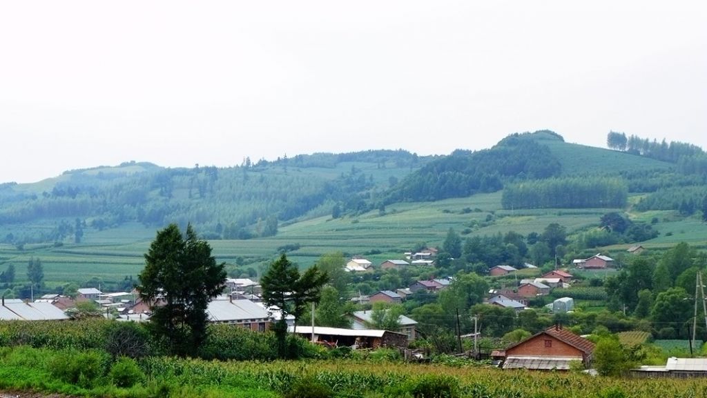P1010486.JPG