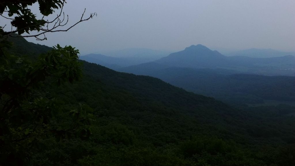 P1010500.JPG