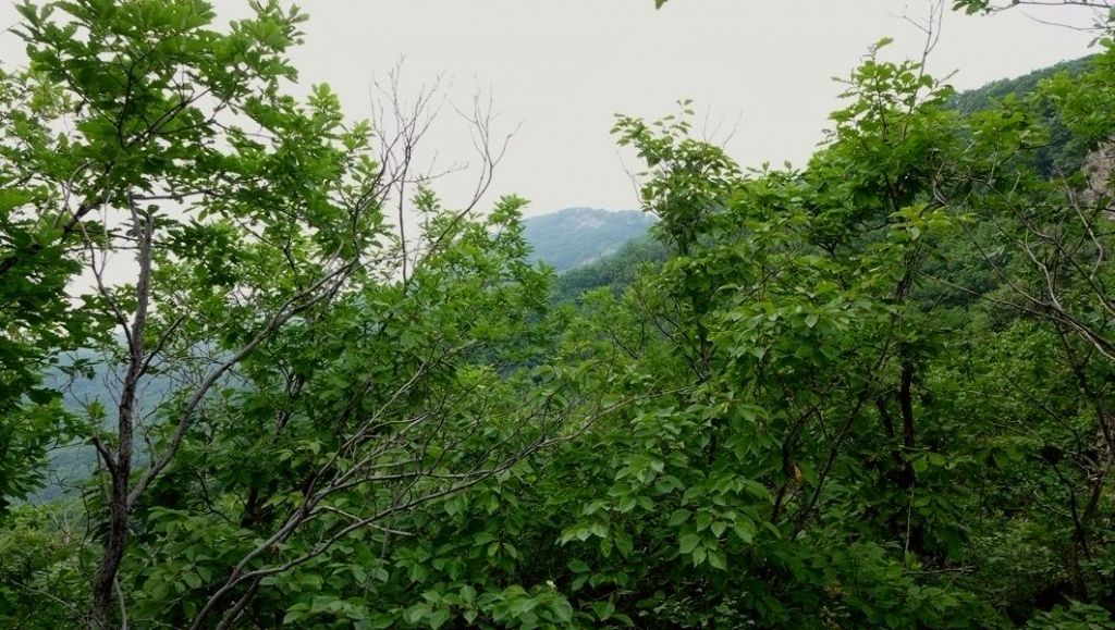 P1010493.JPG