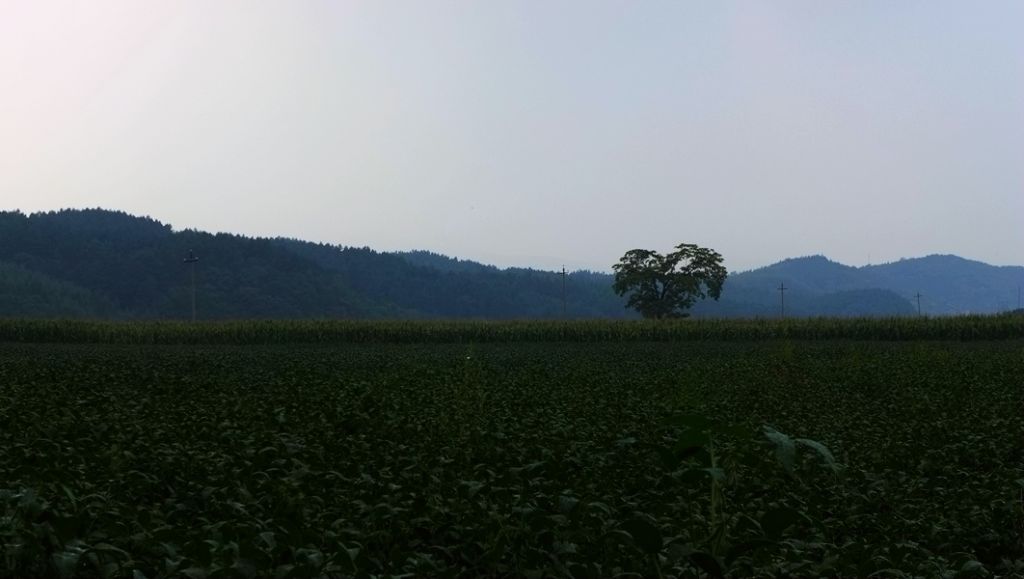 P1010583.JPG