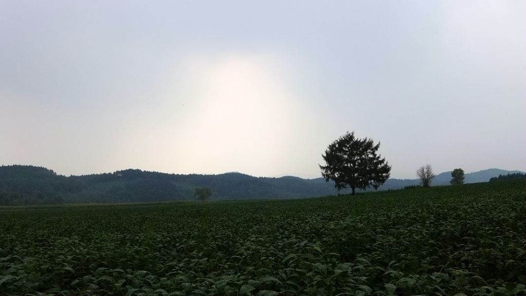 P1010580.JPG