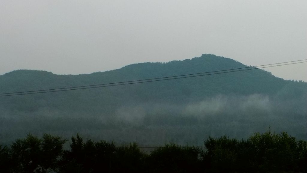 P1010603.JPG