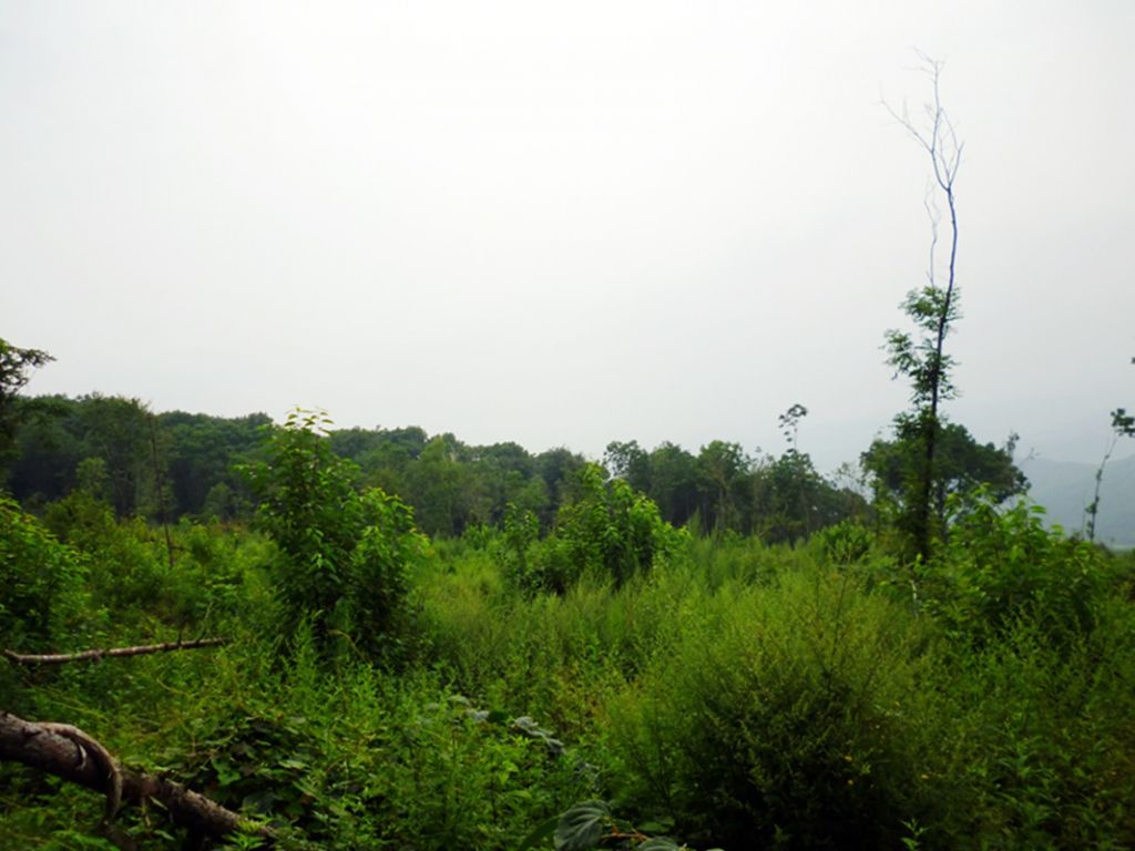 P1050880.jpg