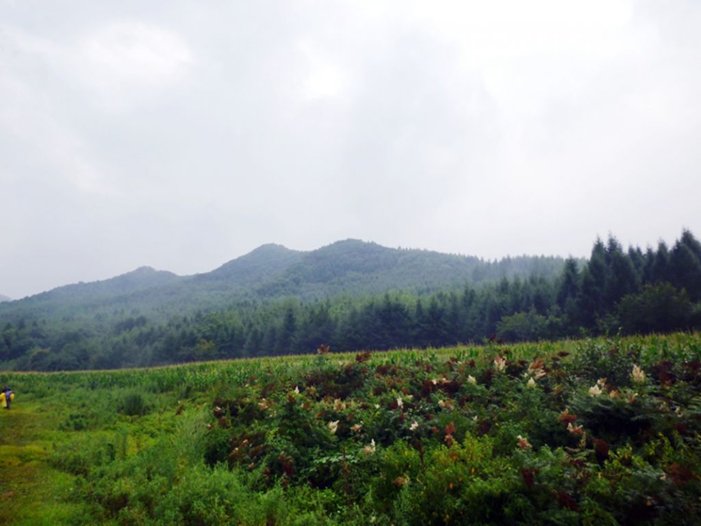 P1050887.jpg
