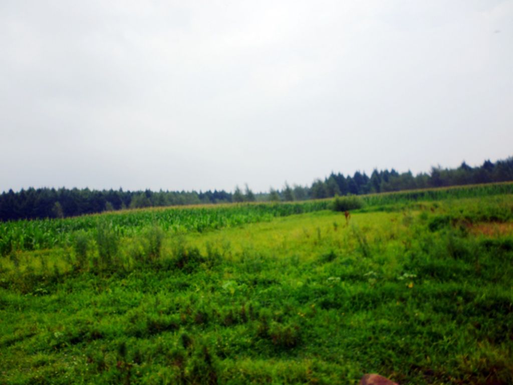 P1050891.jpg