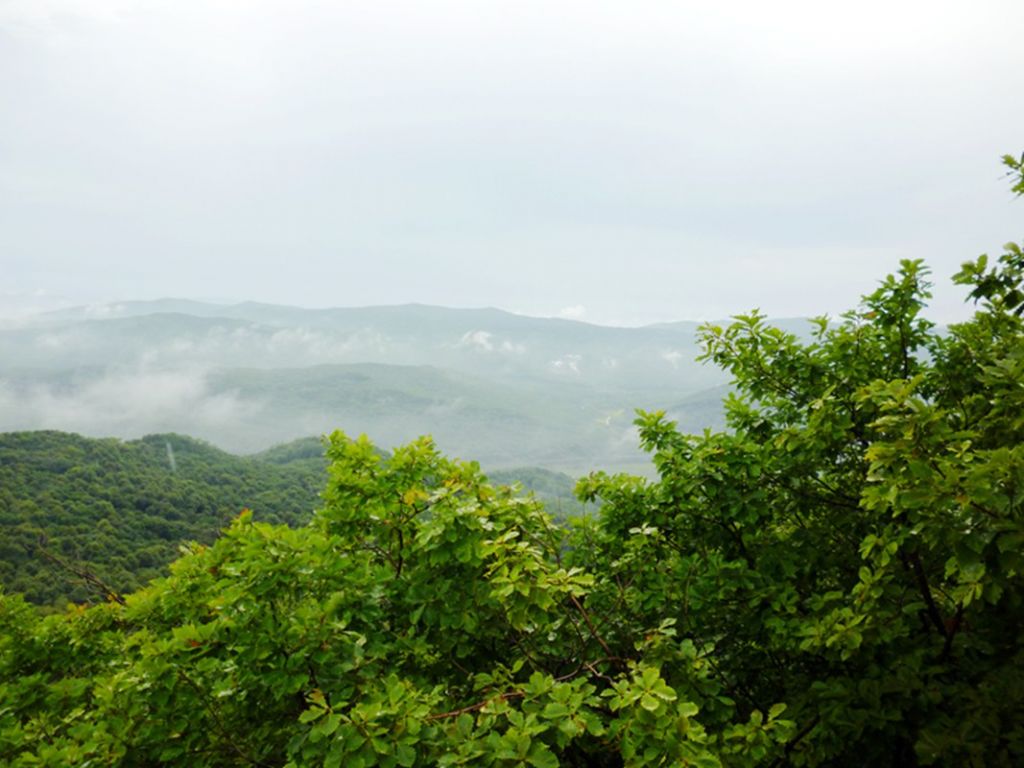 P1050934.jpg