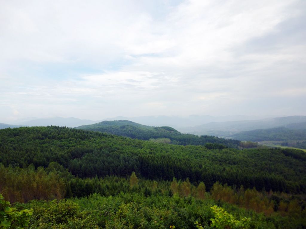 P1050957.jpg