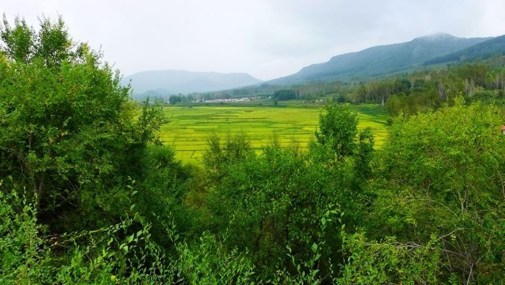P1010615.JPG