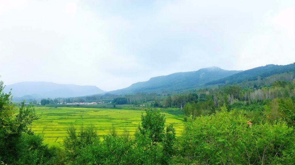 P1010616.JPG