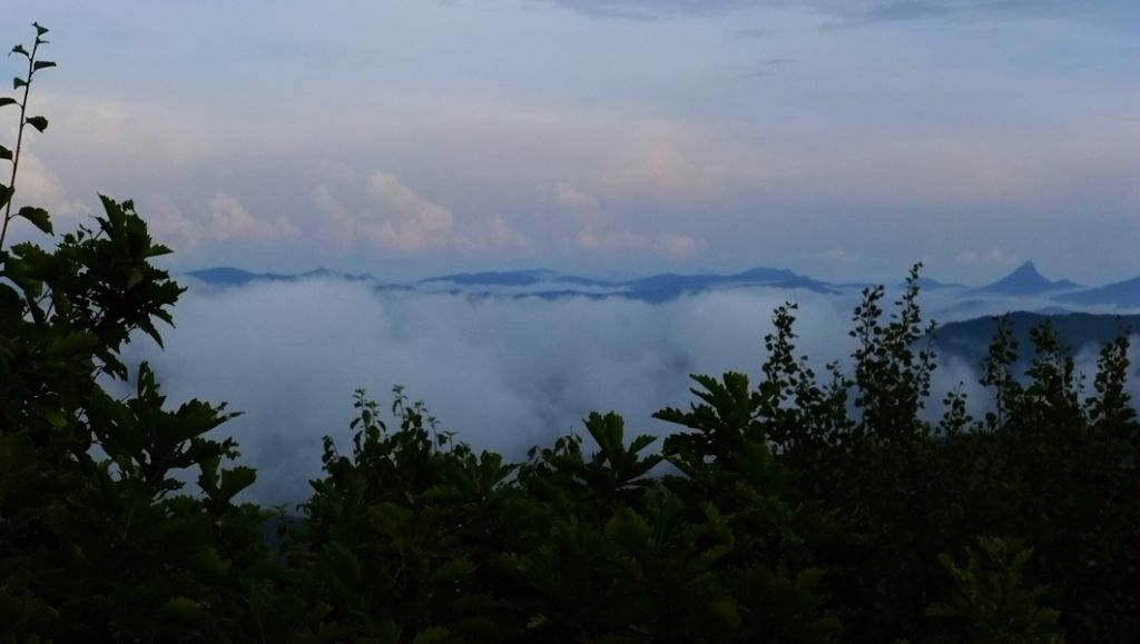 P1010663.JPG