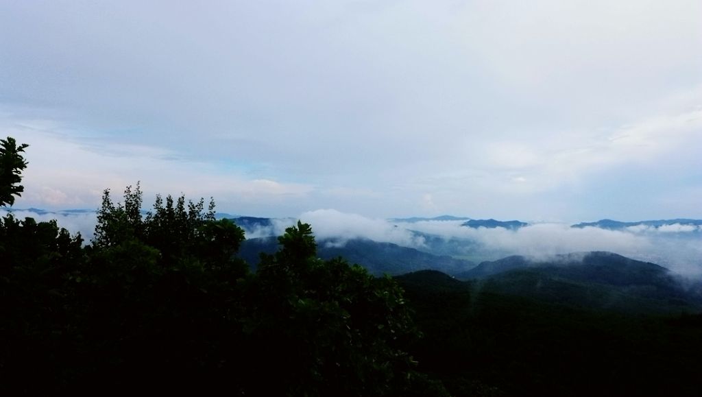 P1010672.JPG