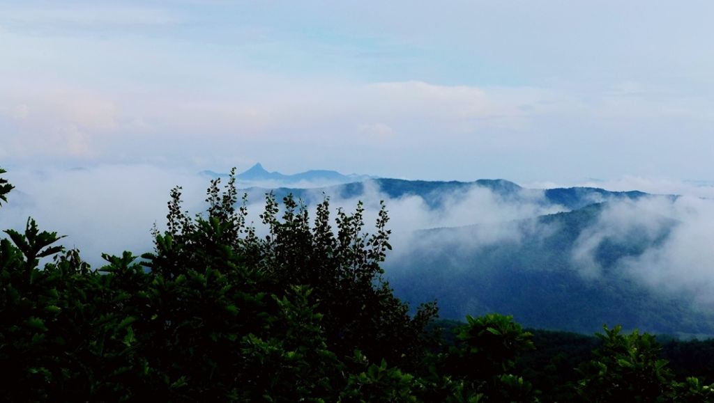 P1010720.JPG