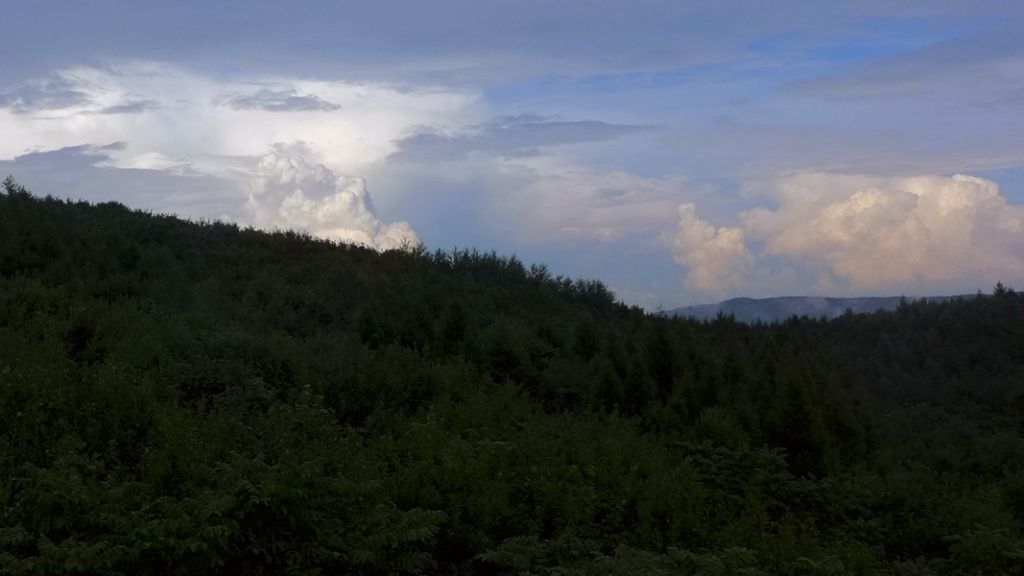 P1010742.JPG