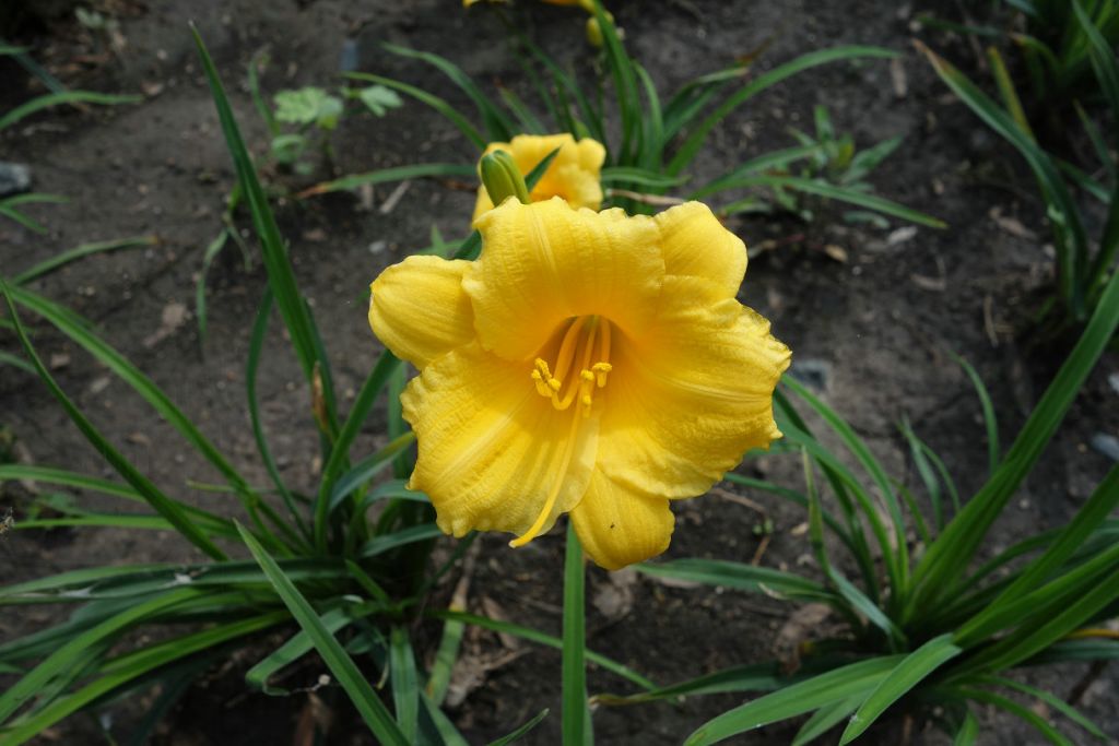 DSC00523.JPG