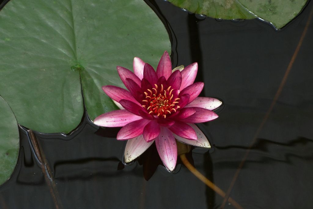 DSC00789.JPG