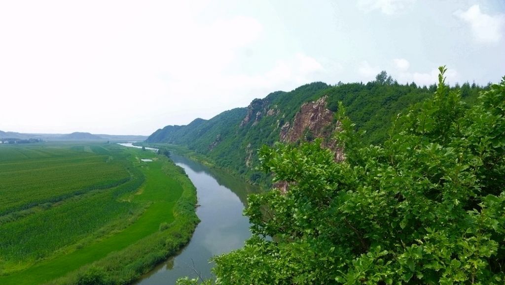 P1000978.JPG