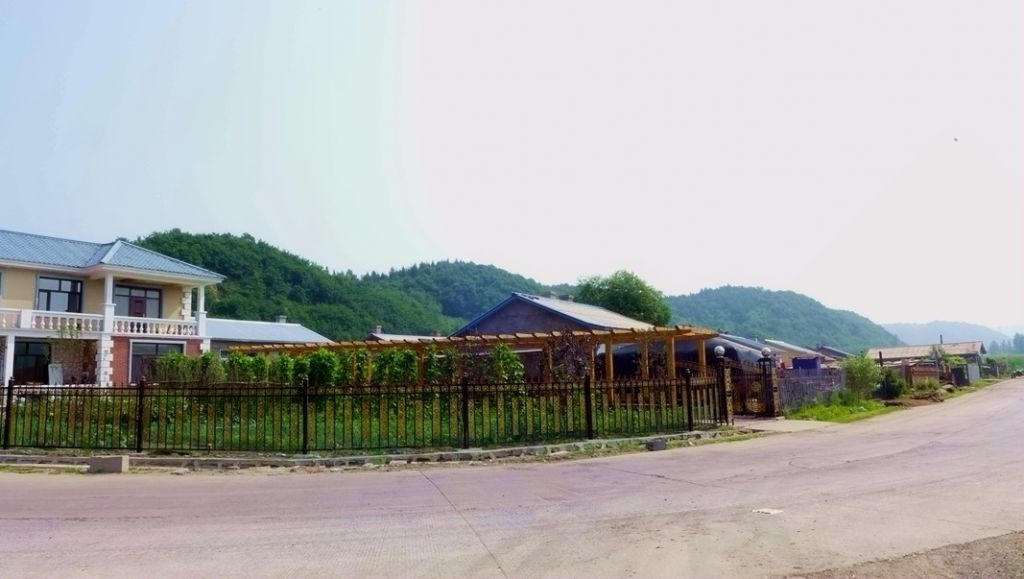 P1000884.JPG