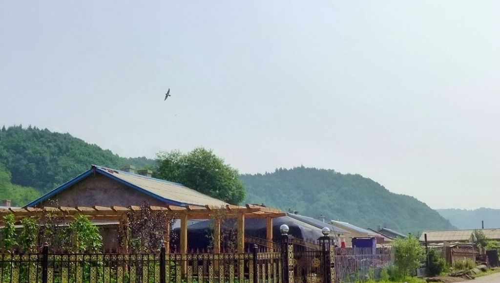 P1000886.JPG