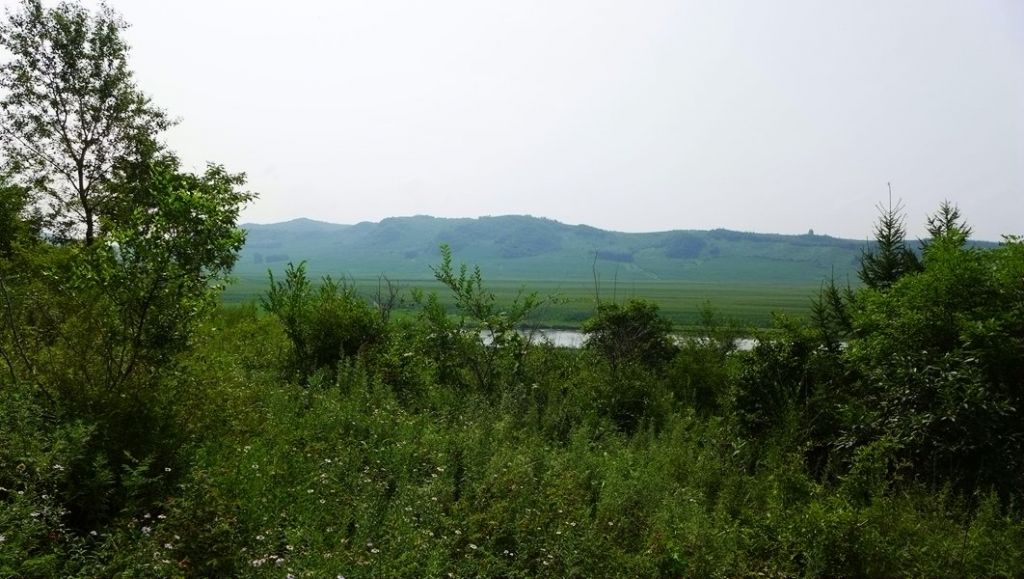 P1000903.JPG