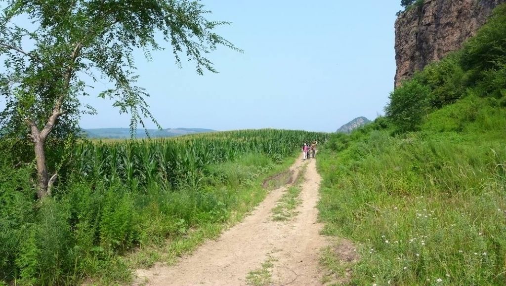 P1000899.JPG