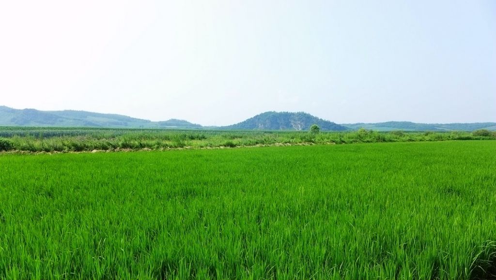 P1000900.JPG