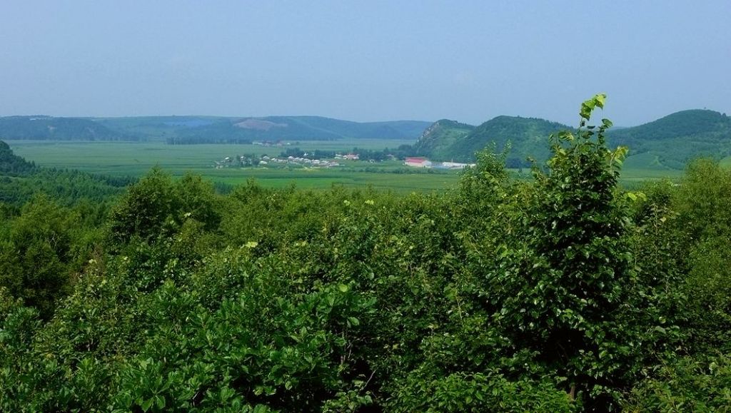 P1000914.JPG