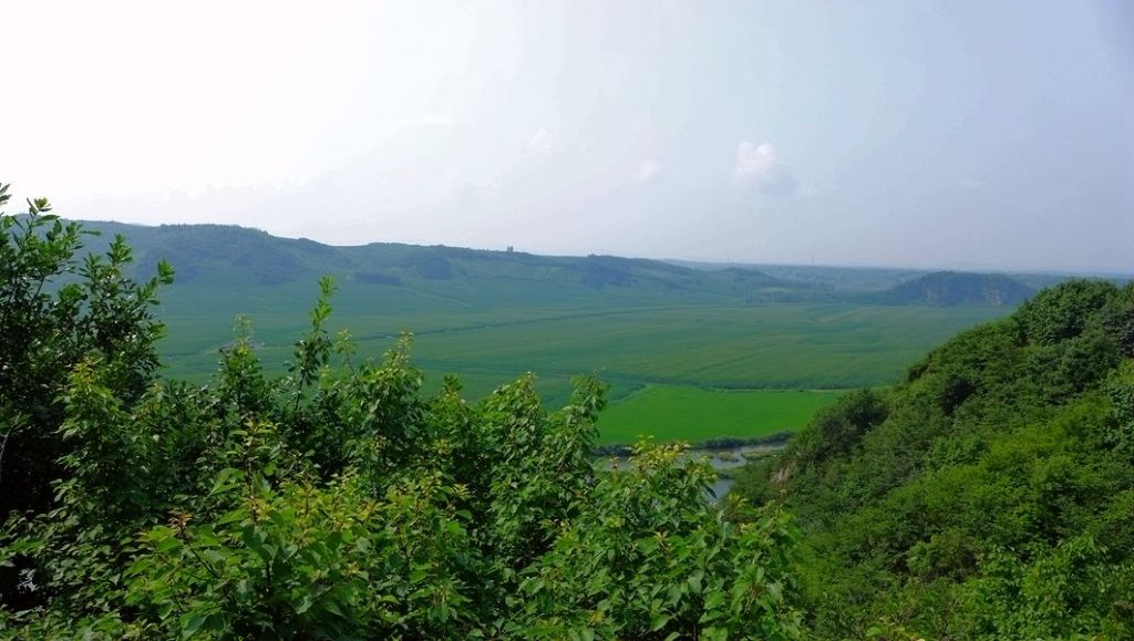 P1000917.JPG