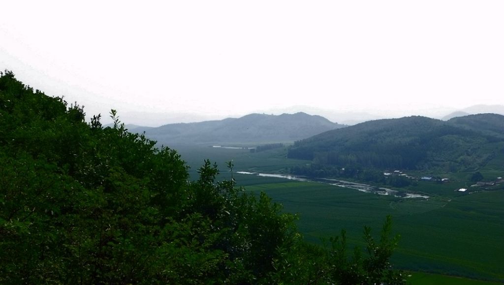P1000924.JPG
