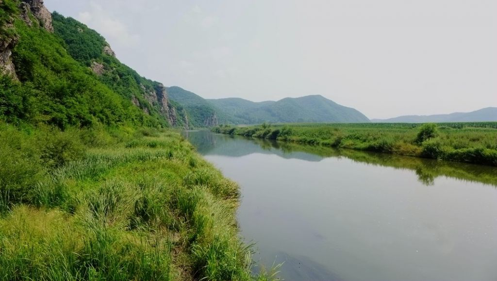 P1000965.JPG