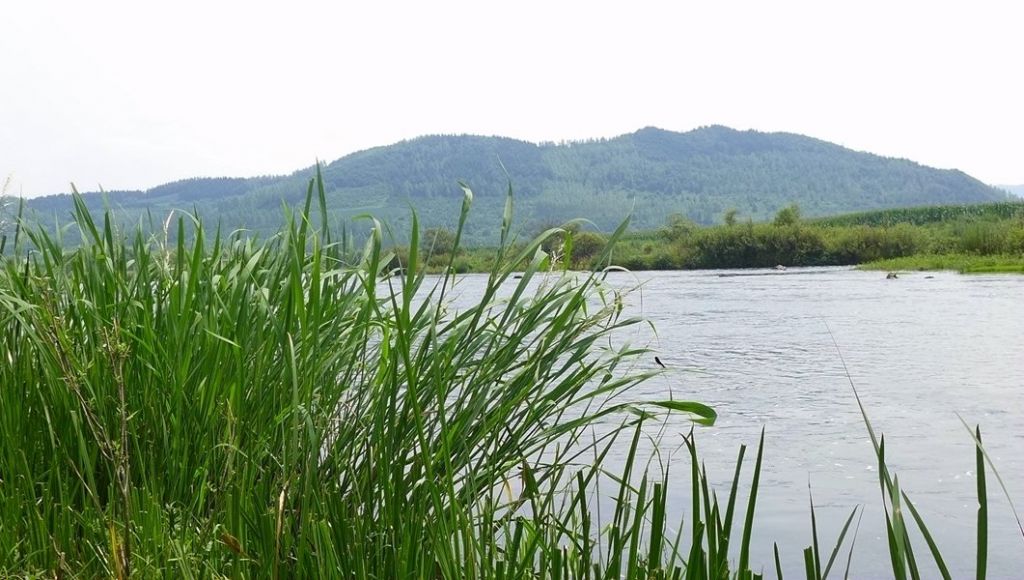 P1010011.JPG